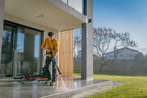 Best Fence Cleaning  in De Pue, IL