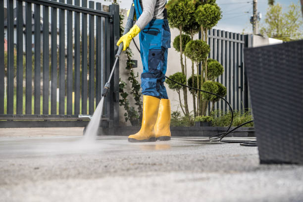 Best Solar Panel Cleaning  in De Pue, IL